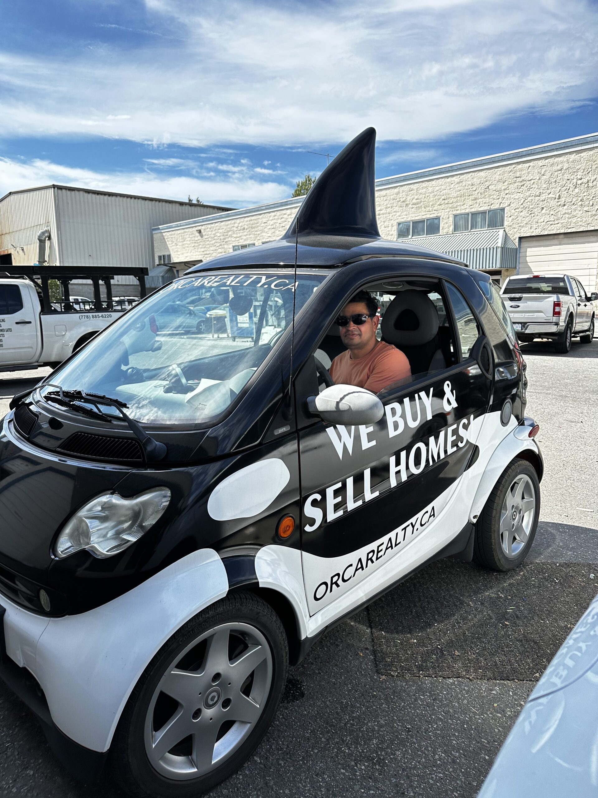 vehicle wraps